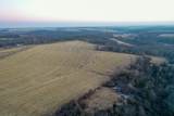 11.6 Acres Lunde Lane - Photo 10