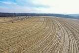 11.7 Acres Lunde Lane - Photo 10