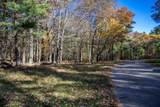 Lot 33 Badger Lane - Photo 10