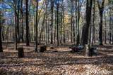 Lot 33 Badger Lane - Photo 41