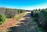 1504 Atom Road - Photo 20