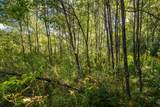 5.67 acres 22nd Street - Photo 16