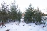 Lot20 Timber Trail - Photo 7