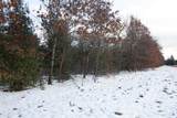 Lot20 Timber Trail - Photo 11