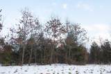 Lot20 Timber Trail - Photo 14
