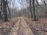 14.2 Acres Will Kumlin Road - Photo 15