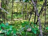.27 Acres Acres - Photo 12