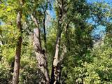 .27 Acres Acres - Photo 5