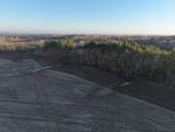 123.5 M/L Acres State Road 81 - Photo 23