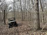 68.73 +/- acres Sleepy Hollow Road - Photo 20