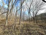 68.73 +/- acres Sleepy Hollow Road - Photo 22