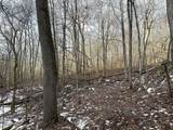 68.73 +/- acres Sleepy Hollow Road - Photo 23