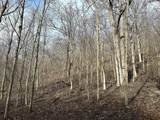 68.73 +/- acres Sleepy Hollow Road - Photo 24
