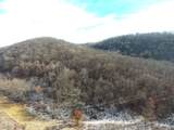 68.73 +/- acres Sleepy Hollow Road - Photo 7