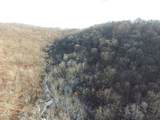 68.73 +/- acres Sleepy Hollow Road - Photo 9