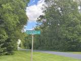 Lot 2 Otsego Road - Photo 4