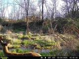 17.75 Acres County Road G - Photo 20