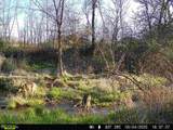 17.75 Acres County Road G - Photo 22