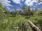 17.75 Acres County Road G - Photo 33