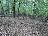 17.75 Acres County Road G - Photo 38