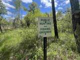 17.75 Acres County Road G - Photo 49