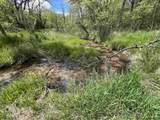 17.75 Acres County Road G - Photo 50