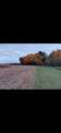 4265 Maple Road - Photo 5
