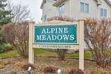 324 Alpine Meadow Circle - Photo 43
