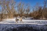 11447 County Rd K Road - Photo 44