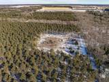 78.75 Acres County Road K - Photo 13