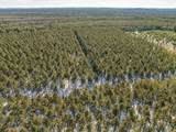 78.75 Acres County Road K - Photo 9