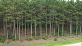 391 Twin Lakes Trail - Photo 4