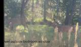837 Gammon Road - Photo 42