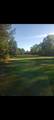 Gale Avenue - Photo 26