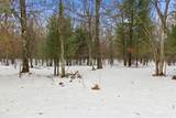 1681 Wood Road - Photo 10