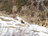 15 Ac + County Road W Road - Photo 15