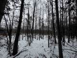 81.64 AC 28th St Acres - Photo 38