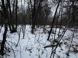 120 AC 30th St Acres - Photo 36