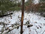 120 AC 30th St Acres - Photo 4