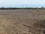 80 AC 25th St Acres - Photo 15