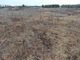 80 AC 25th St Acres - Photo 19