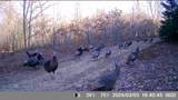 N4076 & N4084 10th Drive - Photo 63