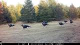 N4076 & N4084 10th Drive - Photo 82
