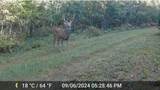 N4076 & N4084 10th Drive - Photo 85