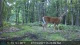 N4076 & N4084 10th Drive - Photo 86