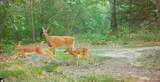 N4076 & N4084 10th Drive - Photo 87