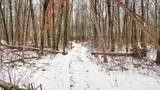 73+/- Acres Germantown Road - Photo 18