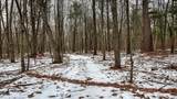 73+/- Acres Germantown Road - Photo 24
