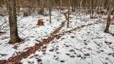 73+/- Acres Germantown Road - Photo 4