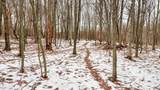 73+/- Acres Germantown Road - Photo 42